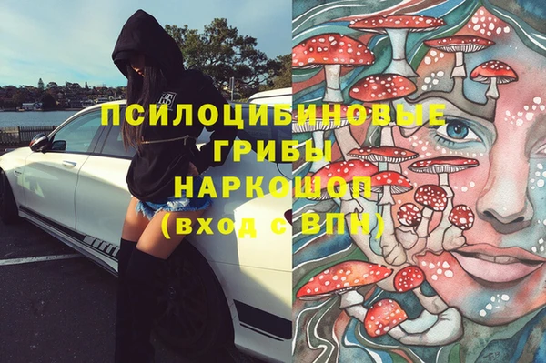 Альфа ПВП Няндома