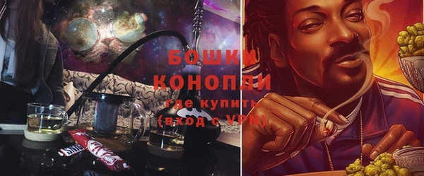 спайс Алзамай