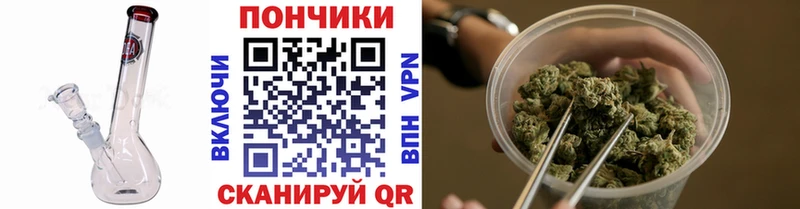 Бошки Шишки сатива Любим